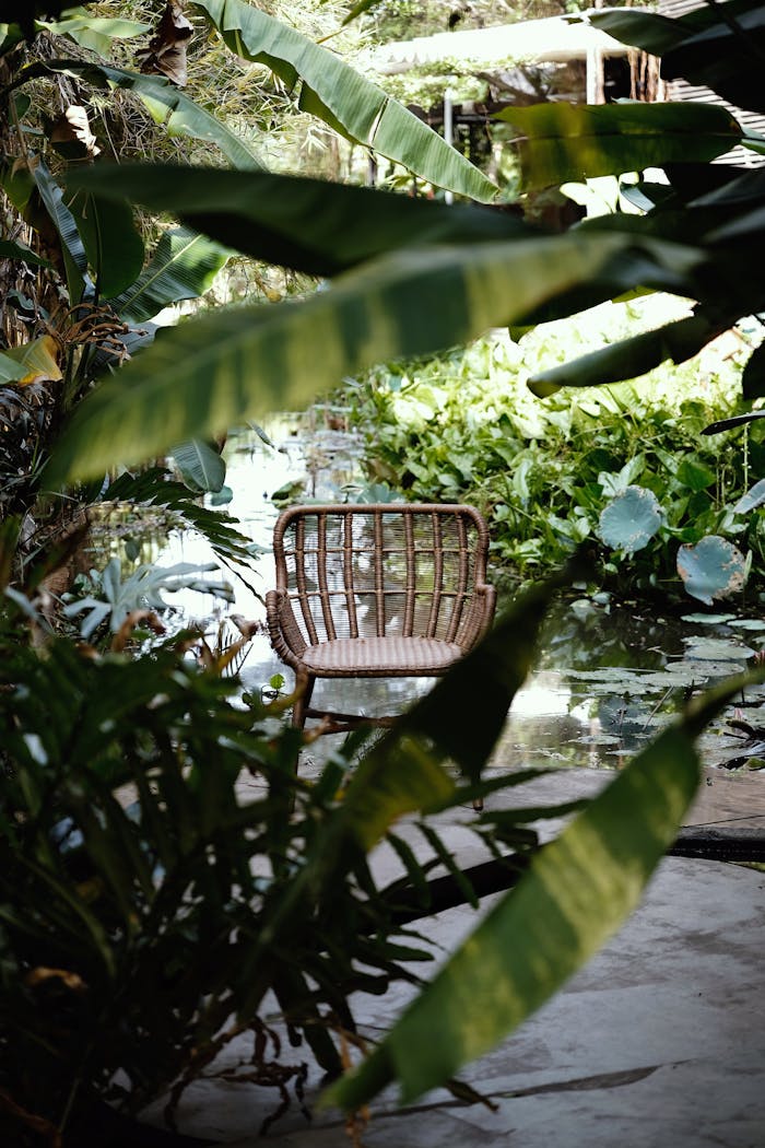 A peaceful bamboo chair amidst lush tropical foliage and a tranquil pond.